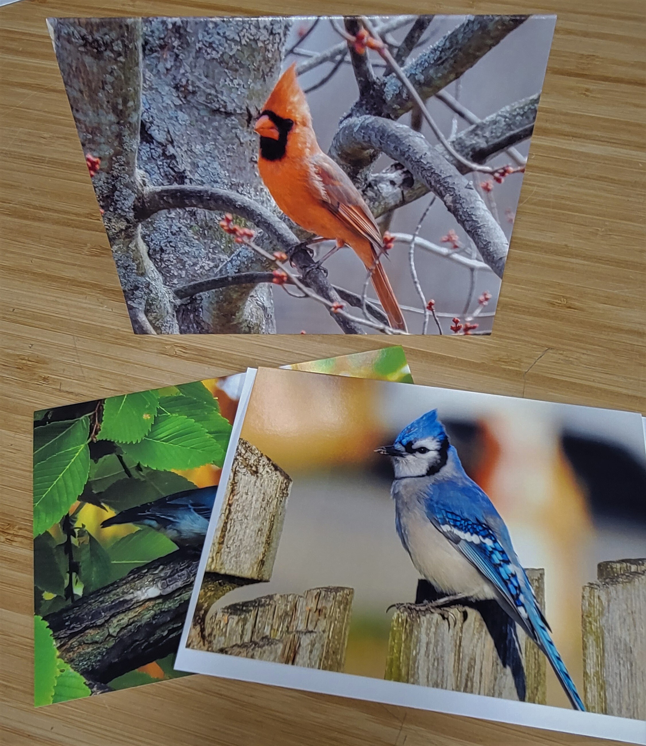 Full Size Greeting Card